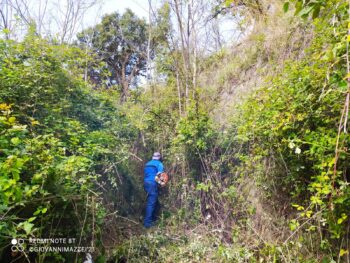 Lamezia Terme, il movimento "Dorian la cultura rende giovani" ripulisce la zona della Virdisca 