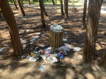 Lamezia Terme, Antonietta d'Amico: "Chiedo a terna commissariale di provvedere a pulizia  spiaggia, pineta attigua e installazione pedane"