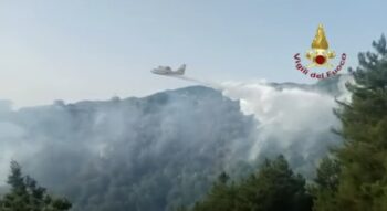 Emergenza incendi boschivi in Calabria