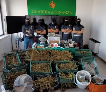 Crotone, in casa laboratorio per lavorazione marijuana, due arresti 