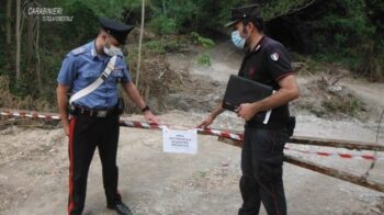 Lamezia Terme, distrugge superficie boscata per realizzare strada abusiva, una denuncia