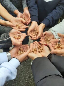 Lamezia Terme, il Liceo Galilei aderisce al “Progetto Crocus” della Fondazione Irlandese per il ricordo dell'Olocausto