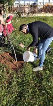 Festa dell'albero, Foresta Che Avanza: "per risollevare una nazione serve avere radici profonde"