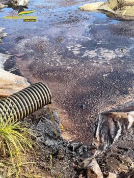 Lamezia Terme, sequestrato uno stabilimento industriale destinato alla produzione e vendita di olio d’oliva