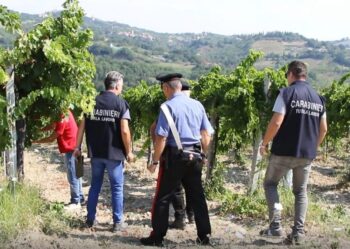 Intermediazione illecita e sfruttamento del lavoro in danno di cittadini bulgari, 13 arresti