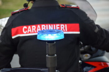 Teneva in casa 15 cani in condizioni precarie, denunciata una donna nel catanzarese