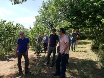 Nocciola Tonda di Calabria, prosegue il progetto di ricerca “Valtifru 4.0”