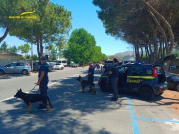 Un arresto a Nicotera per detenzione e spaccio di sostanze stupefacenti