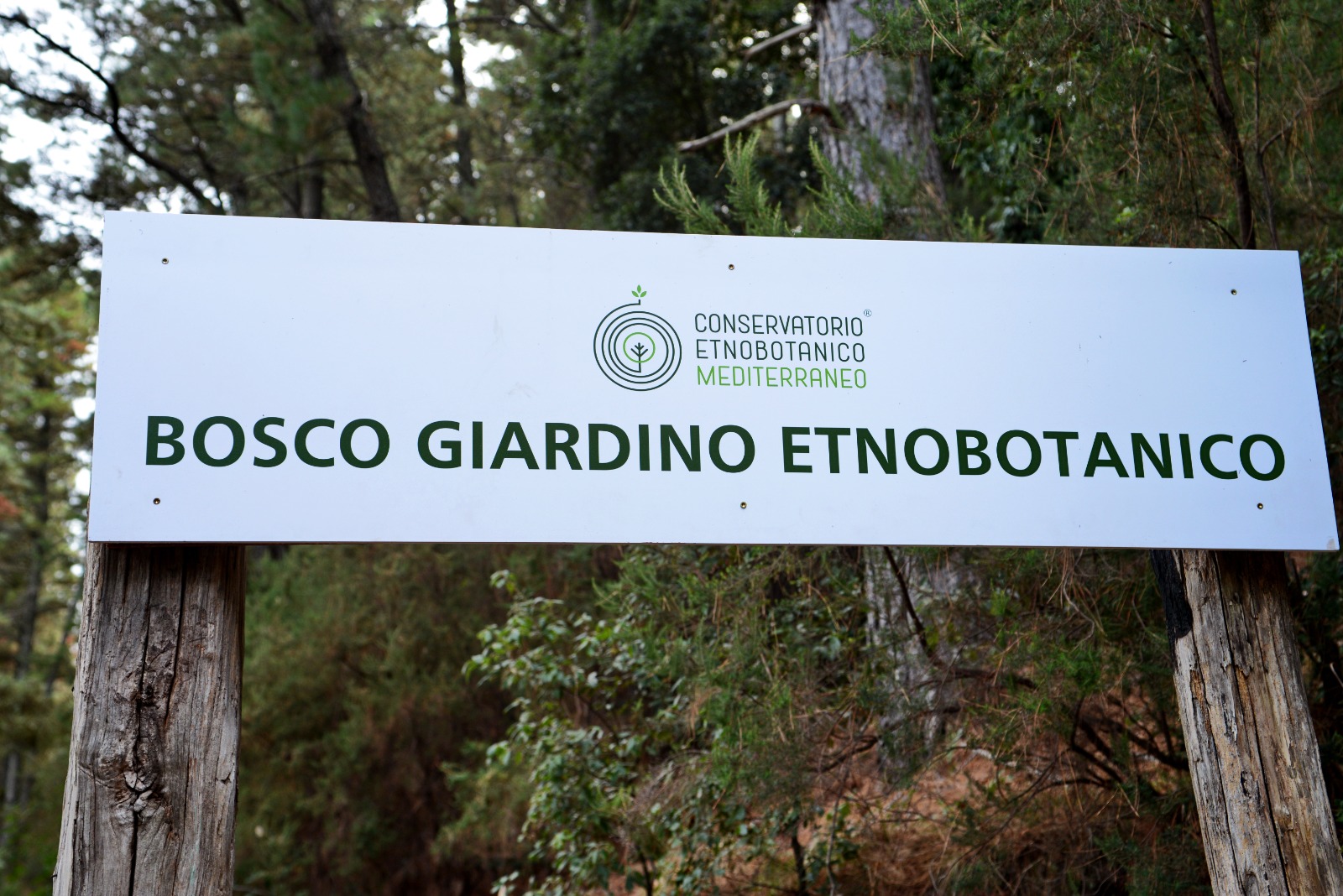 L'associazione lametina "Le Città Visibili" al Bosco Giardino Etnobotanico di Sersale