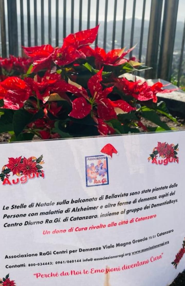 Catanzaro, la bellezza splende sulla balconata di Bellavista grazie alle stelle di Natale piantate dai pazienti del Centro Diurno per Demenze