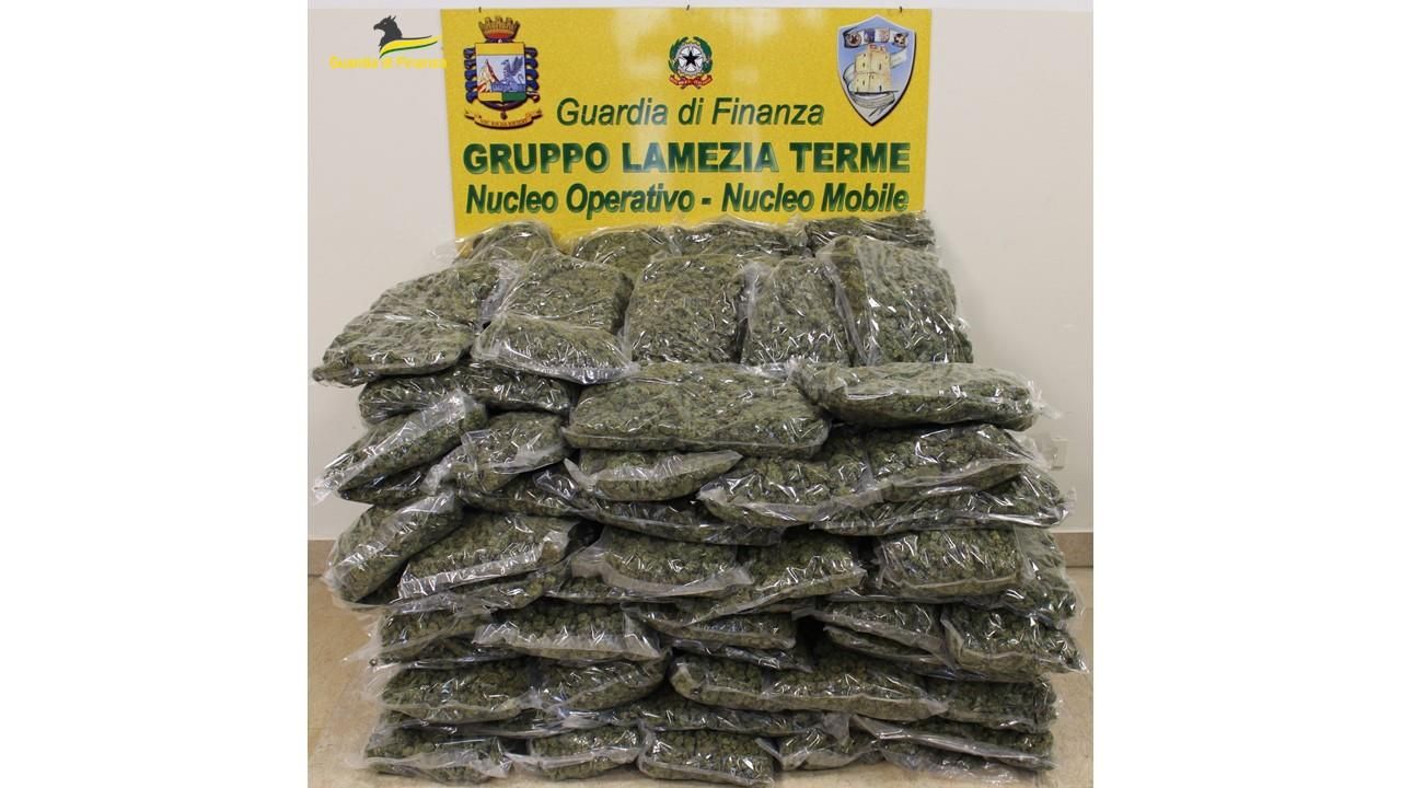 Gdf Catanzaro, arrestato presunto spacciatore e sequestrati 55 kg di marijuana