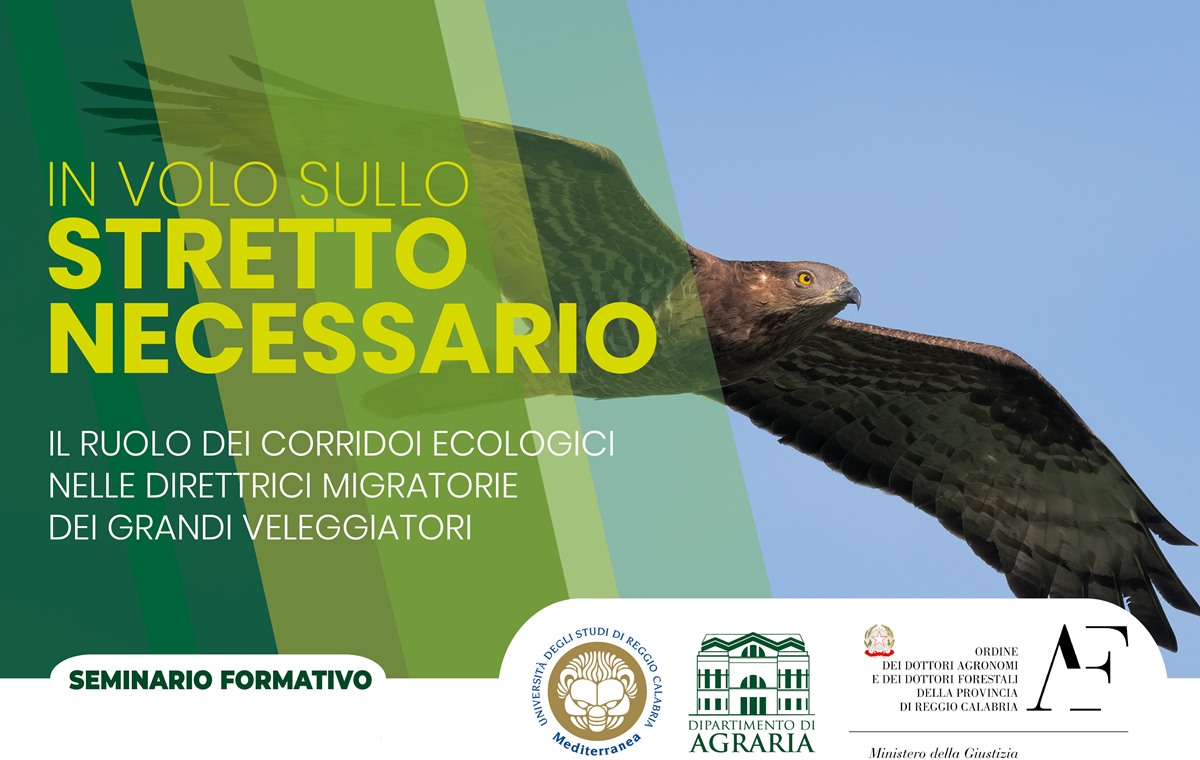 UniRC Agraria, il 12 dicembre incontro “In Volo Sullo Stretto Necessario – Il ruolo dei Corridoi Ecologici nelle direttrici Migratorie dei Grandi Veleggiatori”