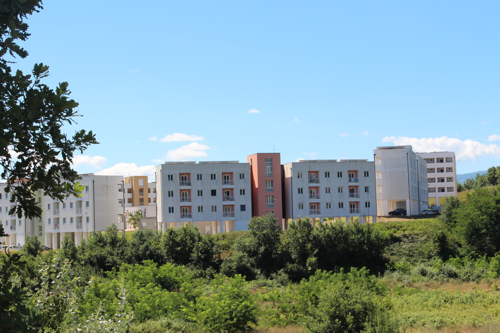 L’Unical assegna tutti gli alloggi, anche ai non beneficiari