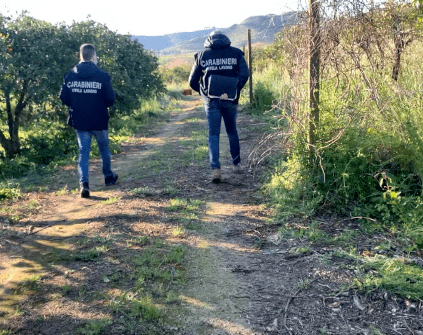 Lamezia, sfruttamento del lavoro in azienda agricola, disposto controllo giudiziario