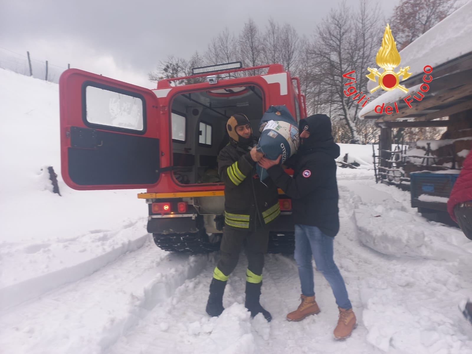 Azienda agricola di Cardinale rimasta isolata per abbondanti nevicate, Vigili del Fuoco giungono in soccorso