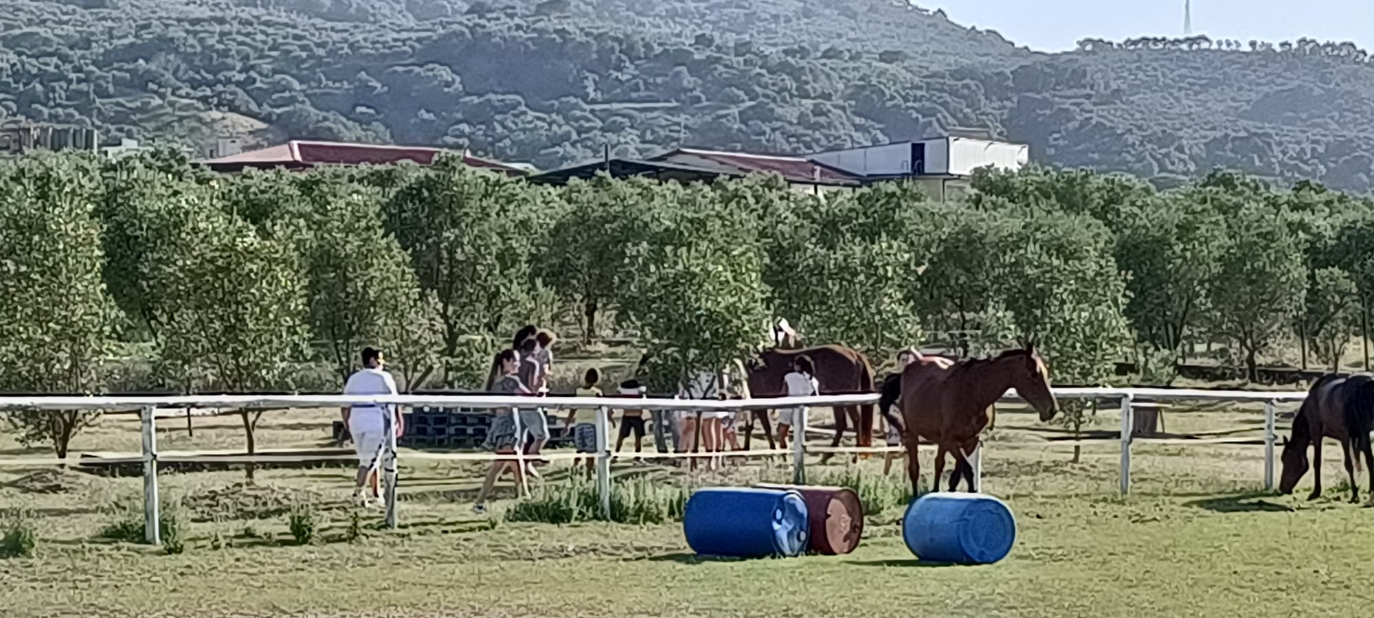 Summer School di Maida: una festa multietnica all’insegna della cultura solidale