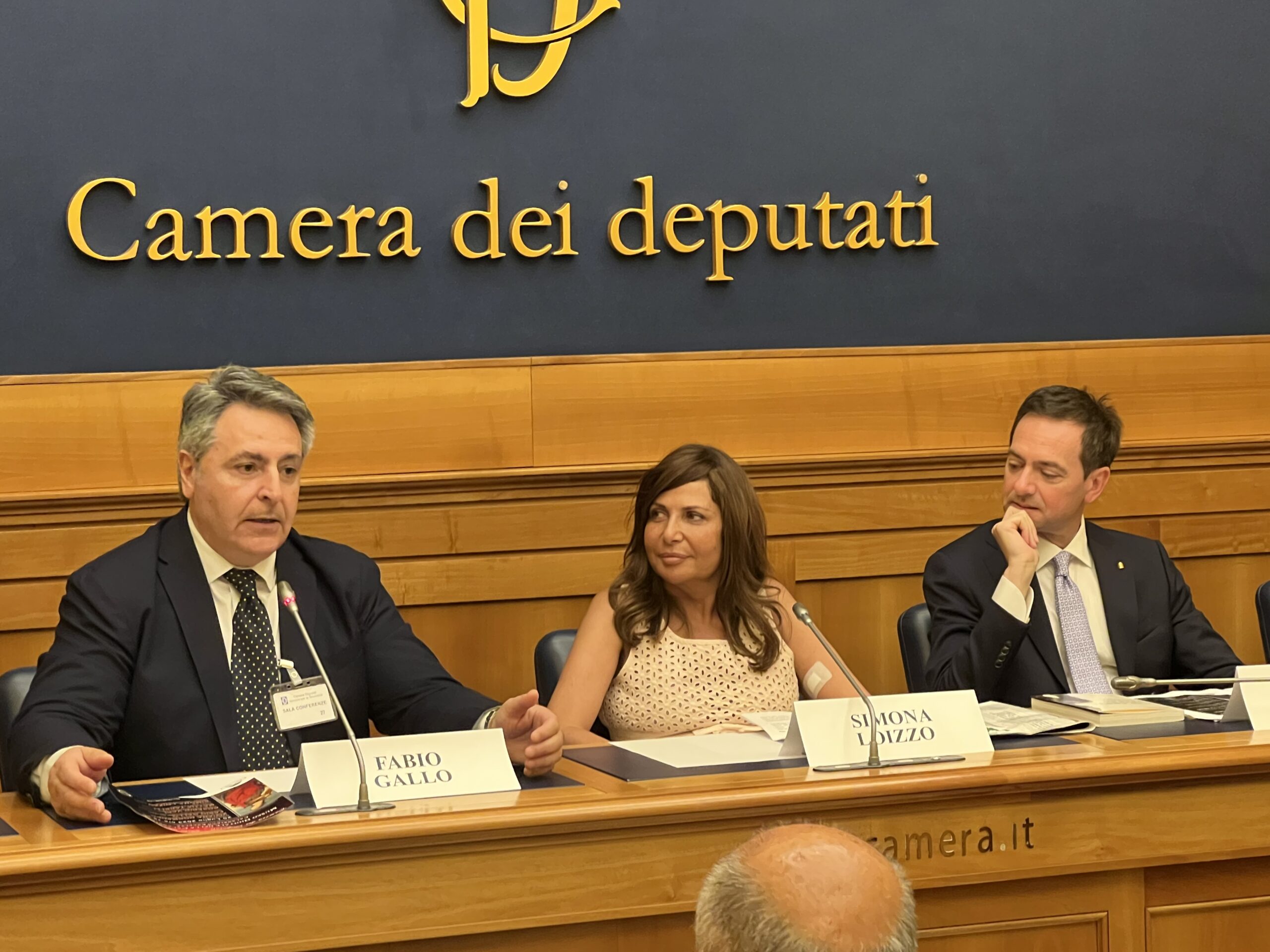 Il deputato Simona Loizzo presenta alla Camera dei Deputati il Museo digitale della Calabria