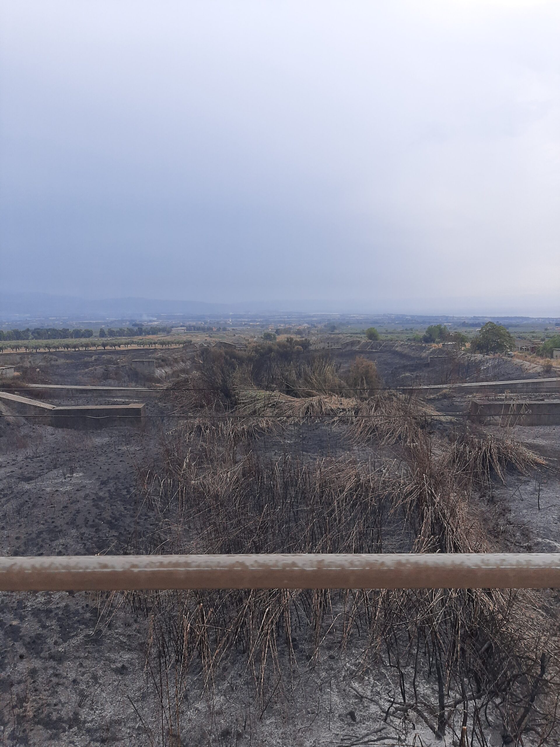 Lamezia, spaventoso incendio a Caronte, la denuncia di Italexit