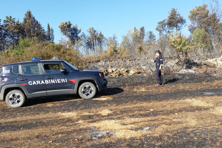 Tenta di appiccare il fuoco ad area boschiva, arrestato 67enne a San Mango d’Aquino