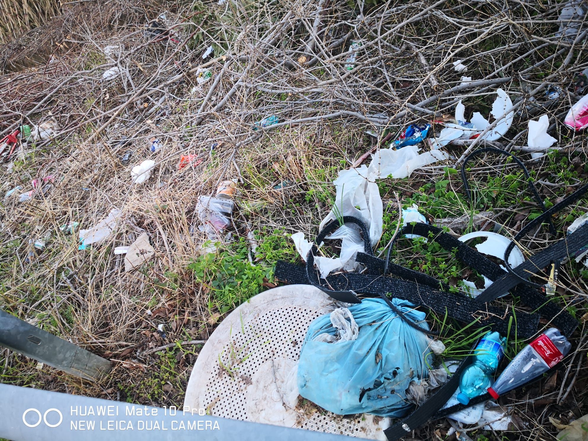 Degrado assoluto lungo l’alveo del torrente Piazza nel centro di Lamezia, lettera denuncia di una cittadina