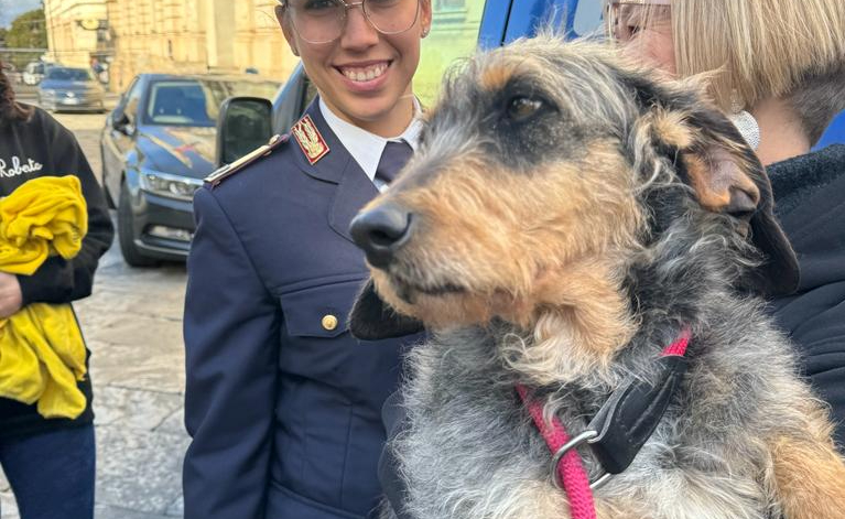 La Polizia di Stato di Reggio Calabria adotta un cane dal canile municipale: da oggi Lisa entra a far parte della famiglia dei Cinofili