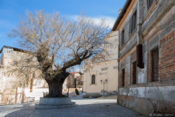 Le Città Visibili inaugurano le escursioni del 2024 nel Parco Nazionale d’Aspromonte