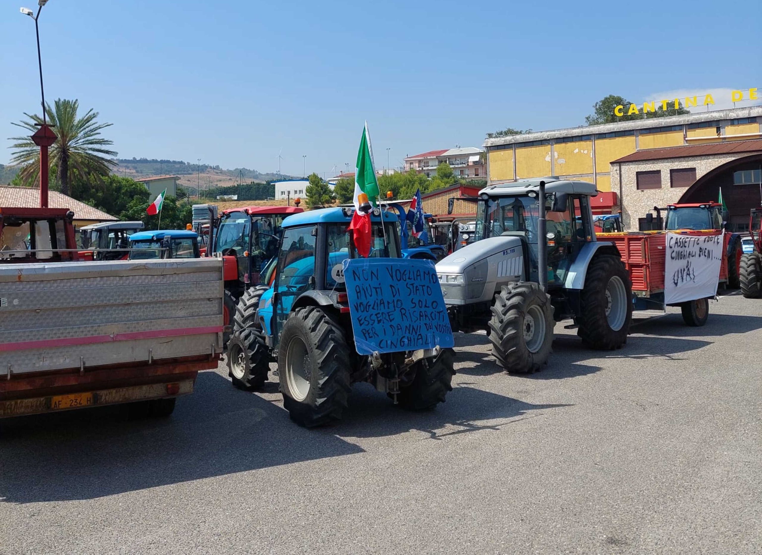 Protesta cinghiali l'amministrazione di Lamezia Terme esprime vicinanza agli agricoltori