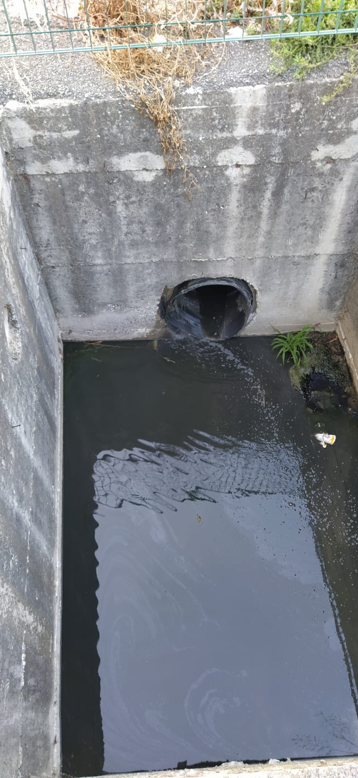 Catanzaro, Costa e Levato: Segnalato presunto scarico abusivo in un canalone in Via Angitola ma nessuna risposta da uffici preposti