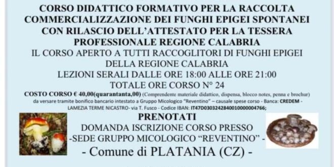 'Platania fate e funghi', al via le iscrizioni per il corso micologico