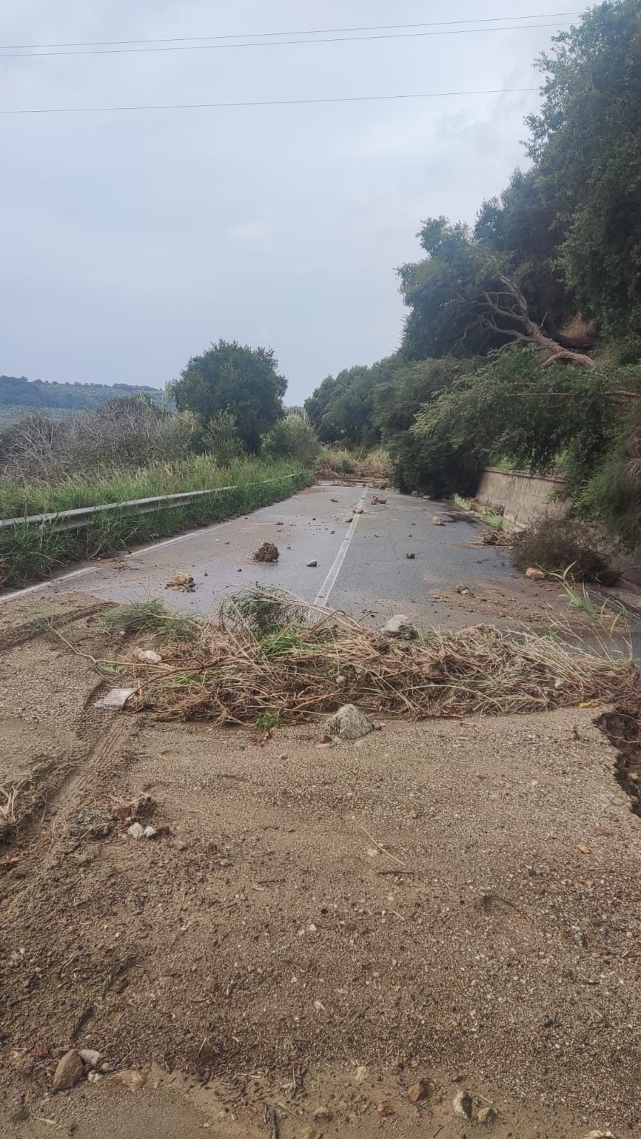 Maltempo, ponte crollato vicino Maida, allagati piani bassi abitazioni