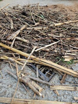 Lamezia, scarsa manutenzione di fiumi, strade e ponti mette paura ai residenti di Lagani e Misà