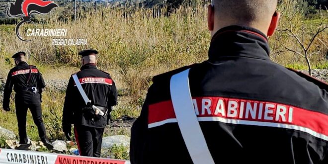 Tenta di appiccare incendio boschivo, arrestato in flagranza nel reggino