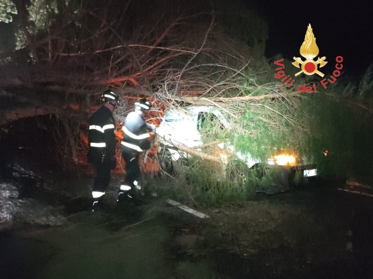 Lamezia, albero secolare cade sul furgone ditta impegnata in lavori ripristino carreggiata interessata da voragine, illeso conducente