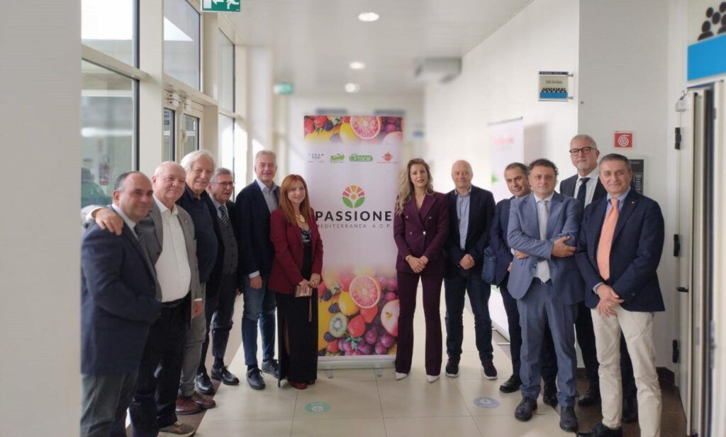 Nasce 'Passione Mediterranea AOP', Gallo: 'Prima organizzazione di produttori ortofrutticoli istituita in Calabria'