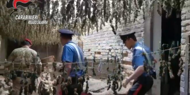 Aveva sepolto due quintali di marijuana in bidoni interrati vicino fiumara, sentenza di condanna per 44enne di Taurianova