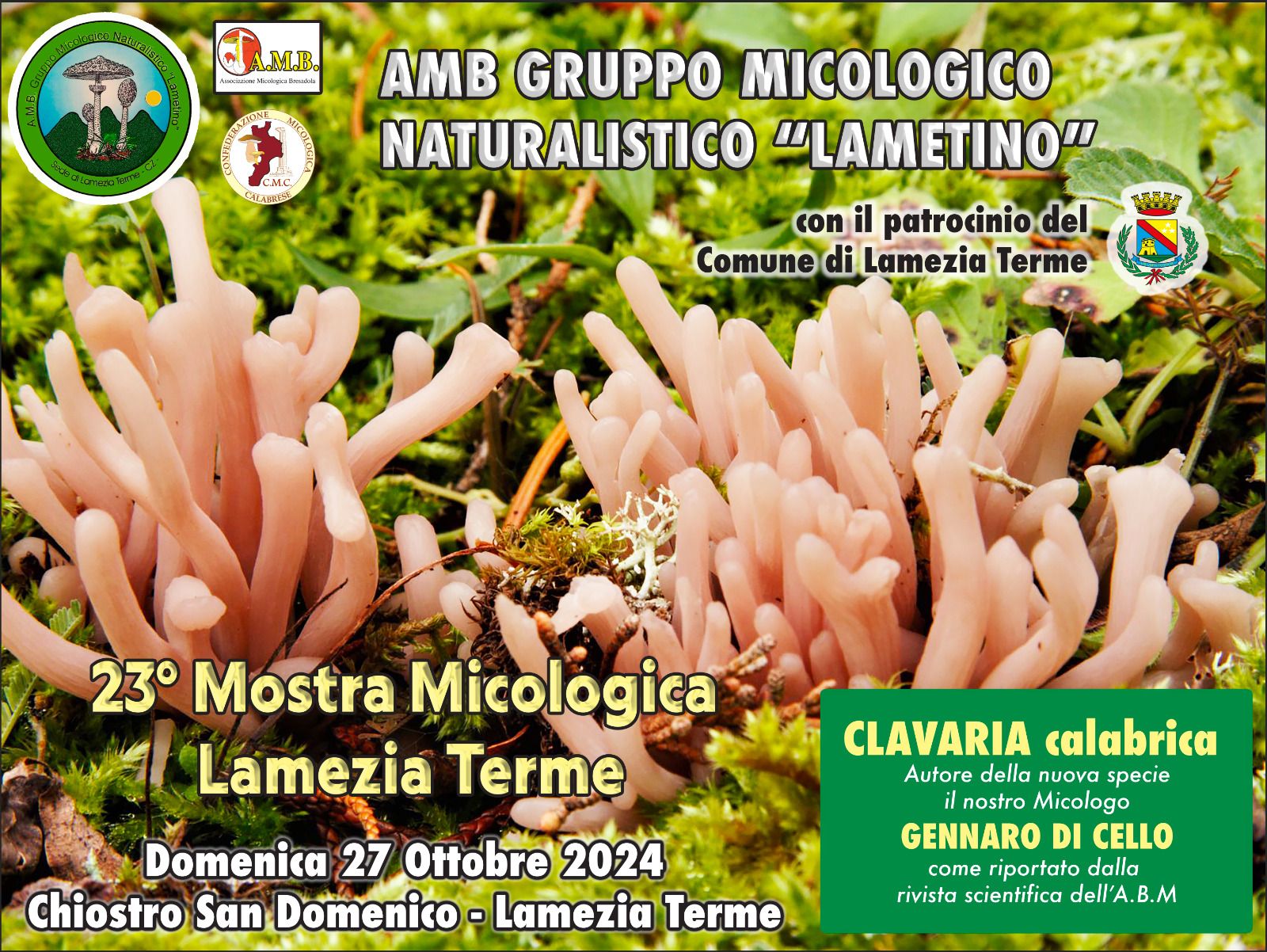 Lamezia, il 27 ottobre Mostra Micologica del Gruppo Micologico Naturalistico Lametino