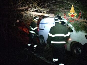 Lamezia, albero secolare cade sul furgone ditta impegnata in lavori ripristino carreggiata interessata da voragine, illeso conducente