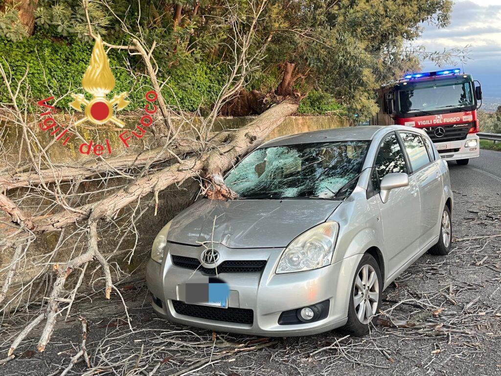 A Gizzeria albero cade su un’auto, due feriti