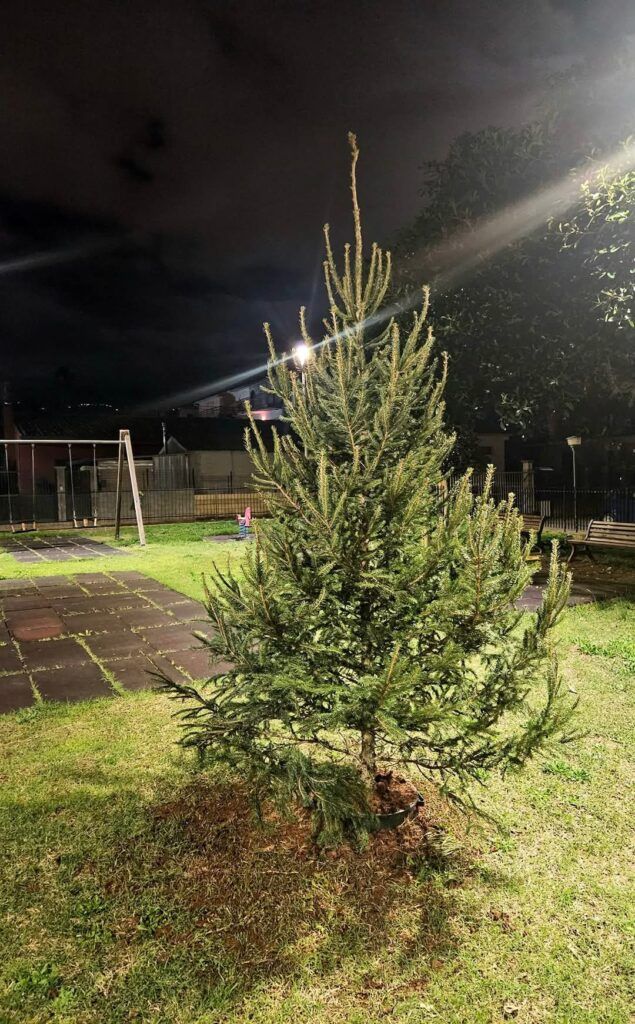 Anche a Capizzaglie si respira l'aria natalizia con l'albero di Natale di Quartiere