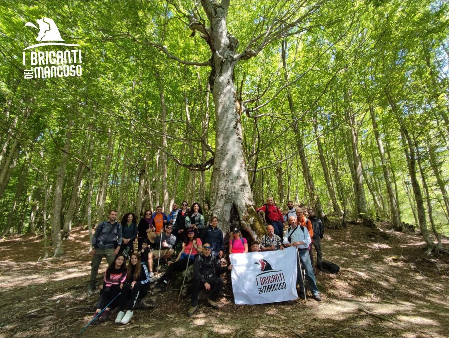 L’associazione I Briganti del Mancuso appoggiano l'idea rilanciata da Francesco Bevilacqua per la creazione di un’area protetta sui monti Mancuso e Reventino