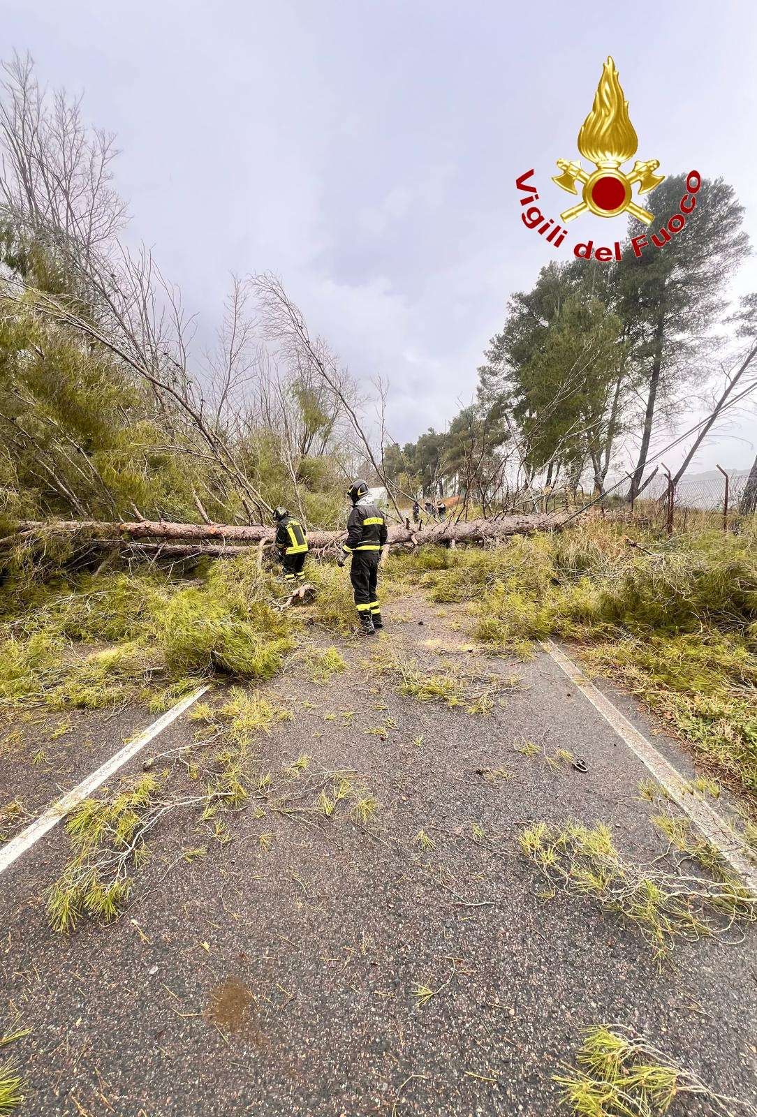 Maltempo, disagi in Calabria: frane e alberi caduti