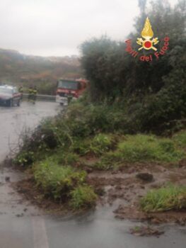 Maltempo, disagi in Calabria: frane e alberi caduti