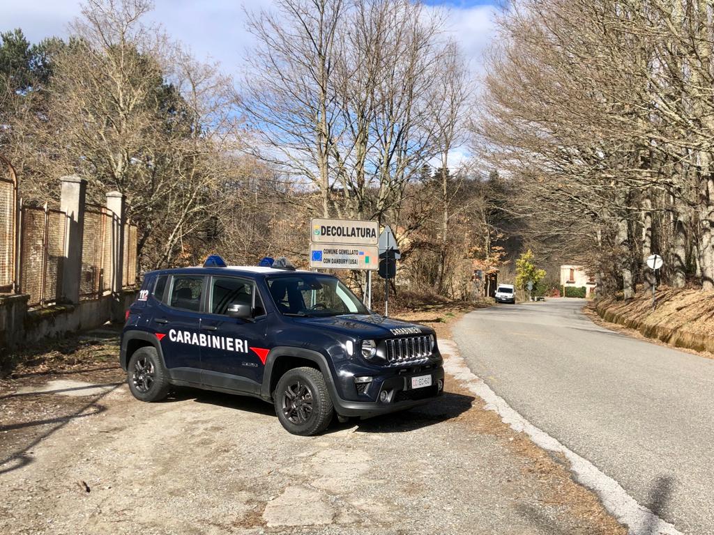 Decollatura, controlli dei carabinieri sulla corretta detenzione degli animali domestici, elevate sanzioni