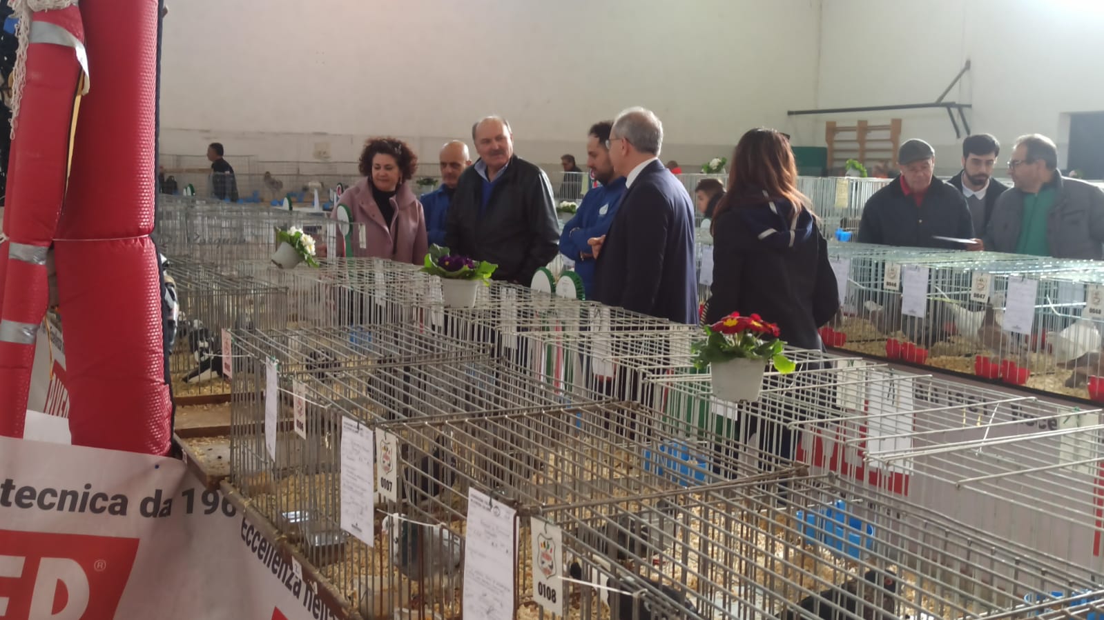 Lamezia celebra la decima Mostra Intersociale di Avicoli e Colombi Ornamentali: un viaggio gratuito tra natura, tradizione e bellezza