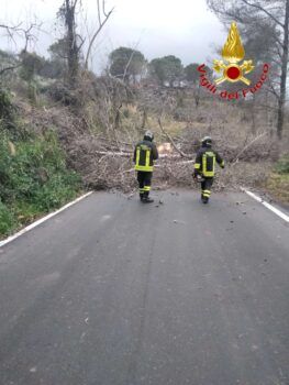 Maltempo, disagi in Calabria: frane e alberi caduti