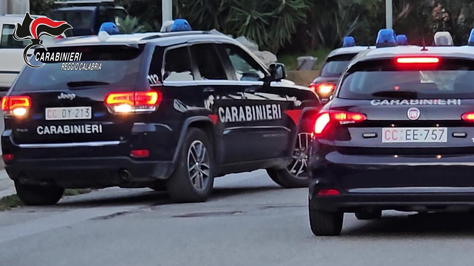 Reggio Calabria, smantellata una fabbrica della droga, 1800 piante di marijuana e oltre 170 kg di stupefacenti sequestrati