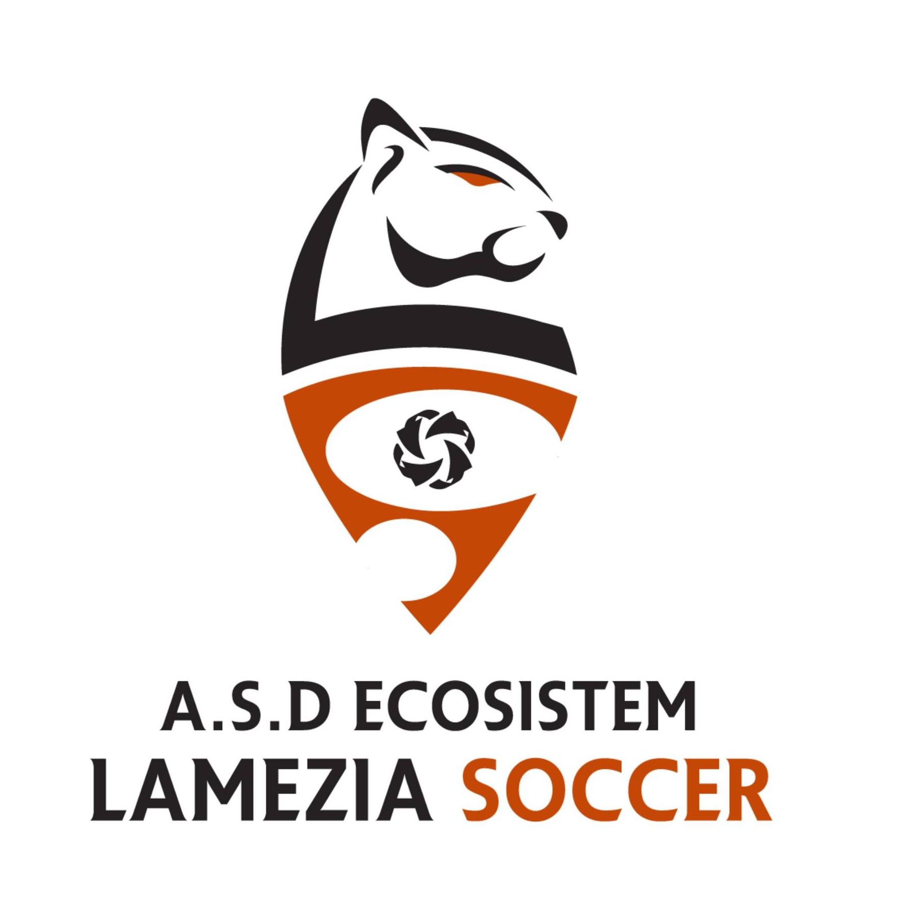 Ecosistem Lamezia Soccer: mister Lombardo e il suo staff rassegnano le dimissioni