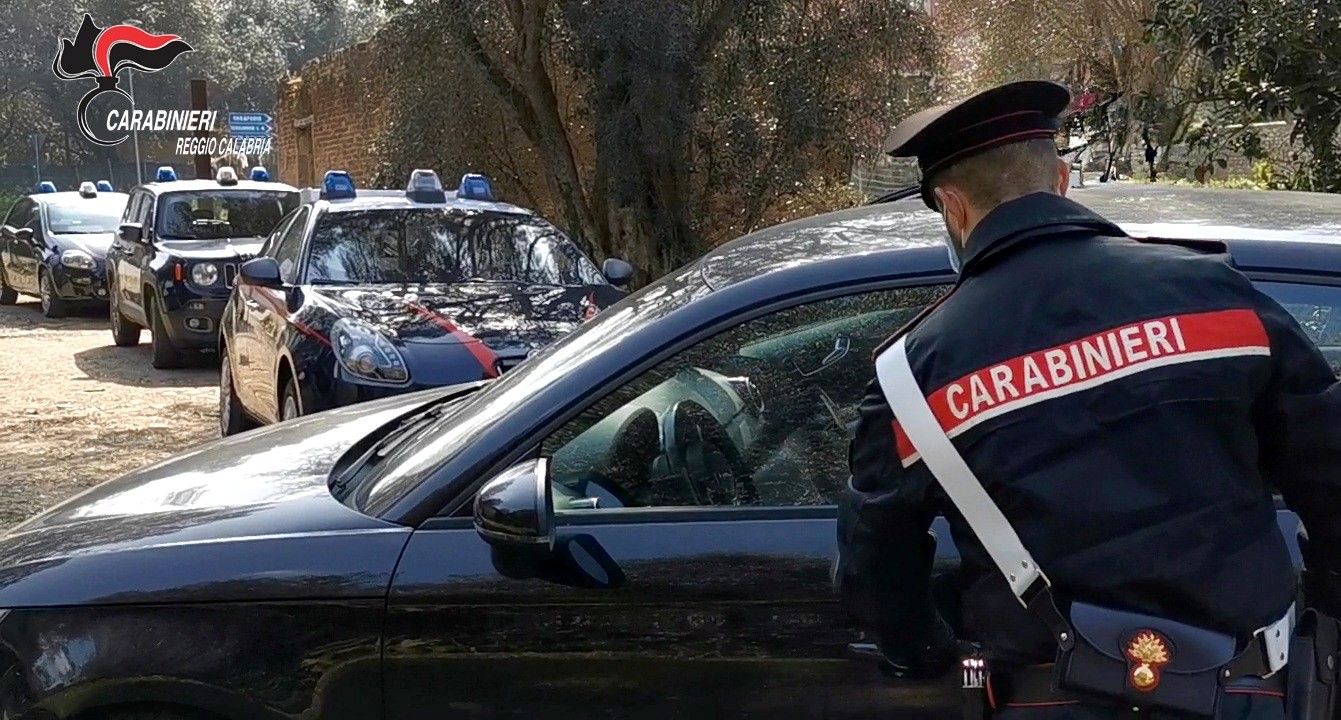 Gioia Tauro, cane denutrito e malato salvato dai carabinieri, denunciato il proprietario