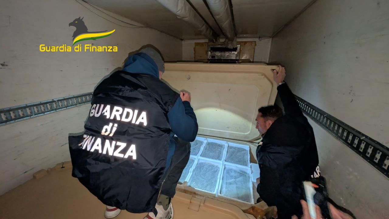 Maxi sequestro 1,5 tonnellate di novellame di sarda non commestibile